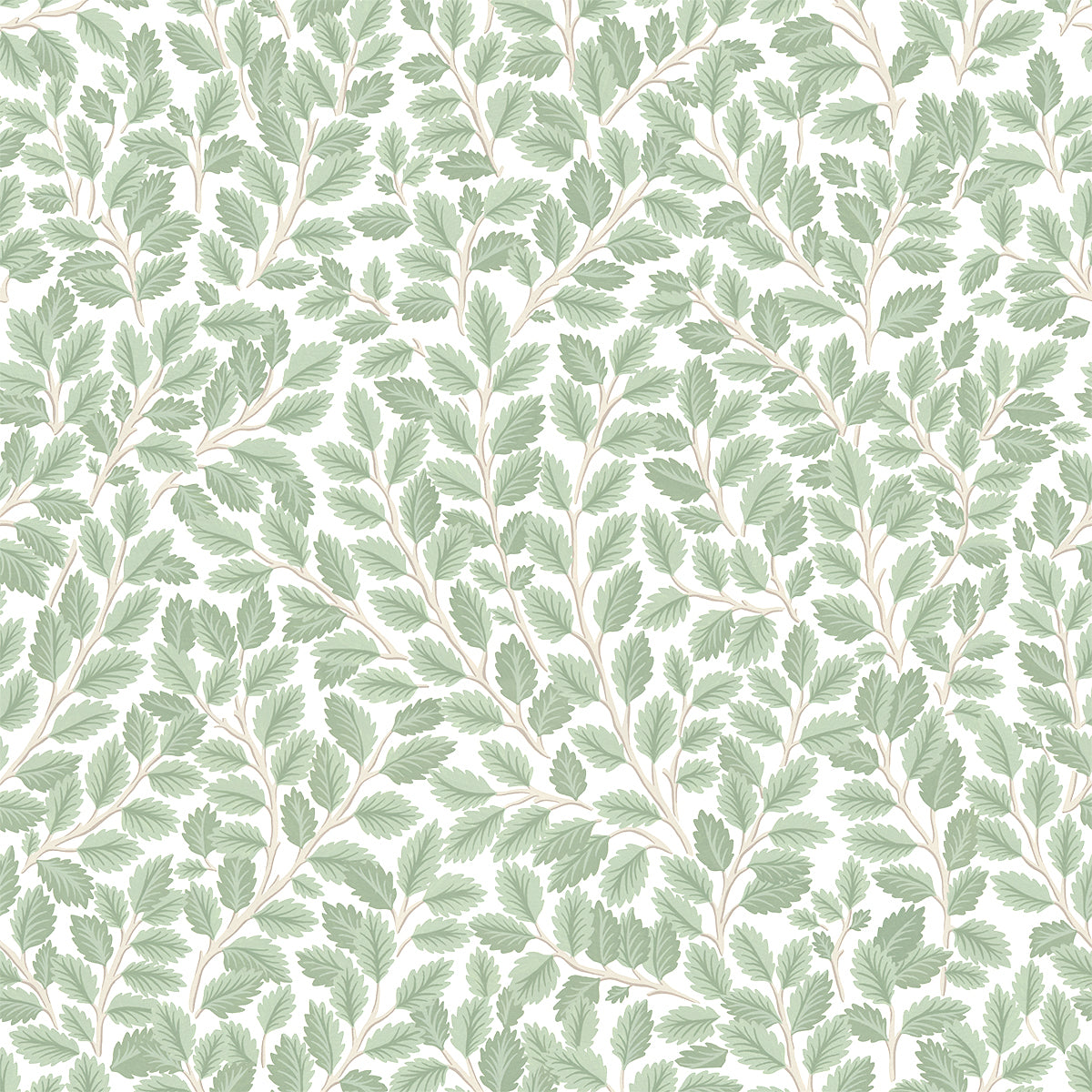 Light Leave Pattern Foliage Light Leaf Pattern Wallpaper Elagantly Detailed – Jimmy Cricket