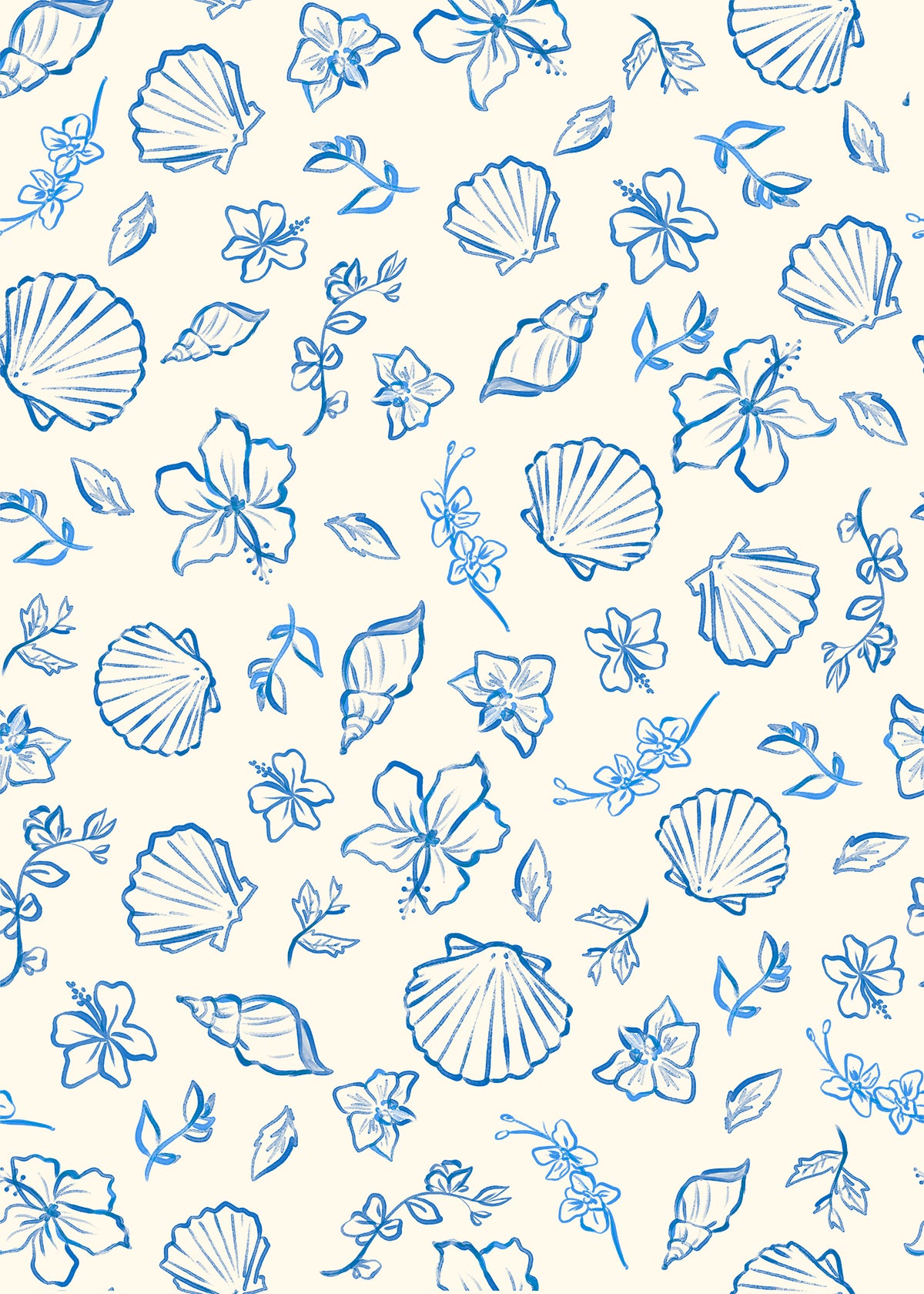 Wallpapers Sea Shells Seashells Photos, Download The BEST Free